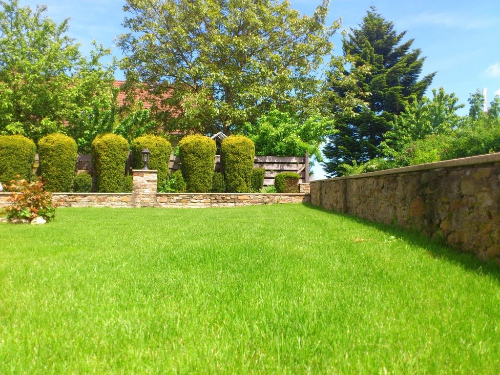 Backyard fence and gate repaired along a Los Angeles lawn